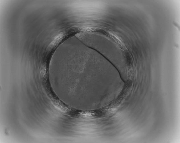 X0000095540407200712281549