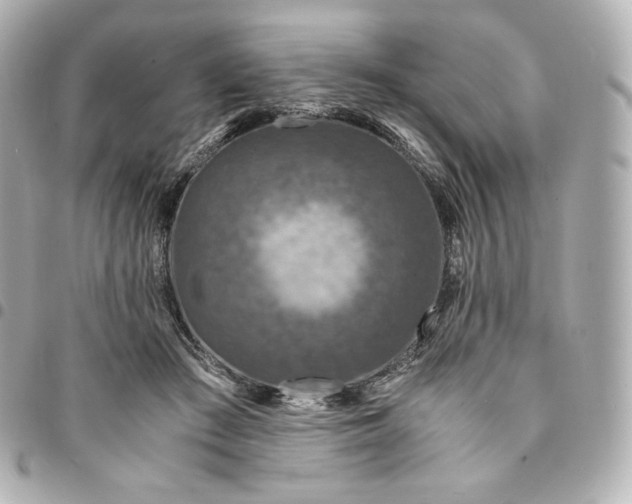 X0000095540409200712281549