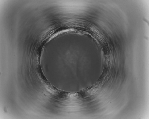 X0000095540410200712281549