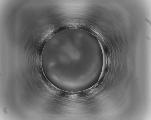 X0000095540411200712281549