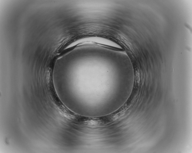 X0000095540412200712281549