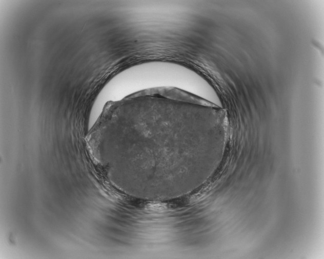 X0000095540413200712281549