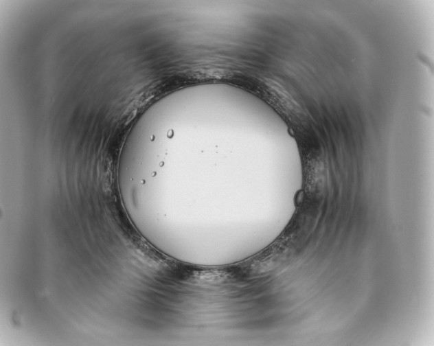 X0000095540414200712281549