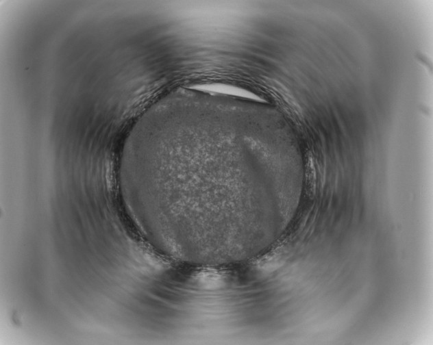 X0000095540416200712281548