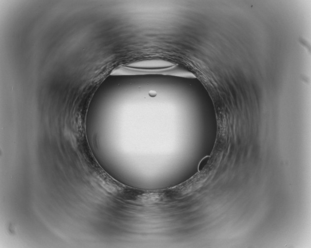 X0000095540418200712281548