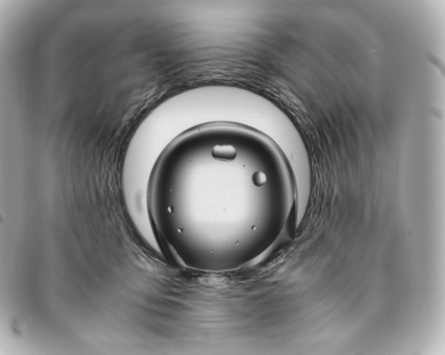 X0000095540419200712281548