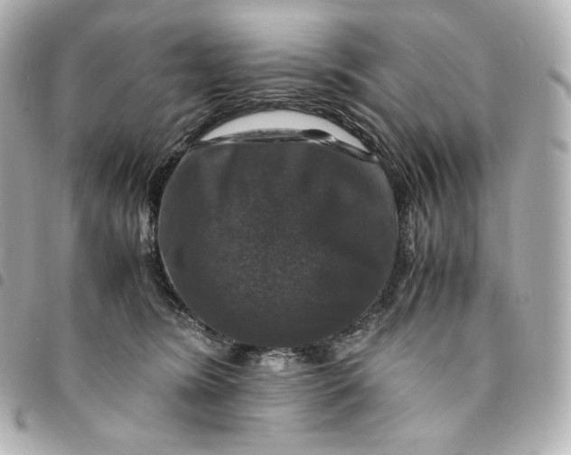 X0000095540420200712281548