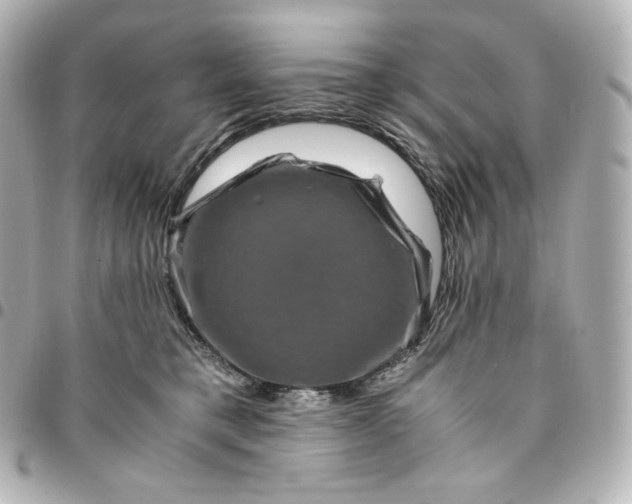 X0000095540421200712281548