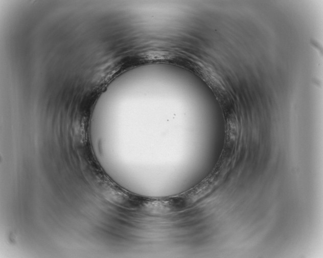 X0000095540422200712281548