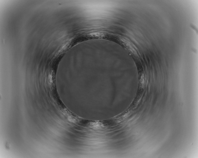 X0000095540424200712281548