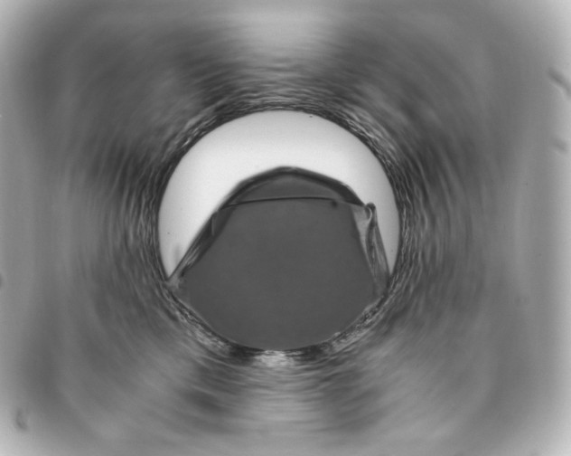 X0000095540425200712281548