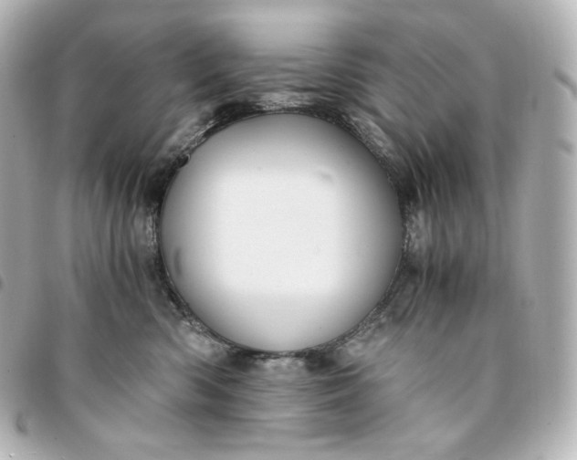 X0000095540426200712281548