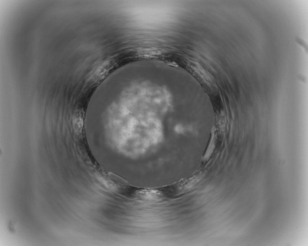 X0000095540427200712281548