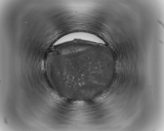 X0000095540428200712281548