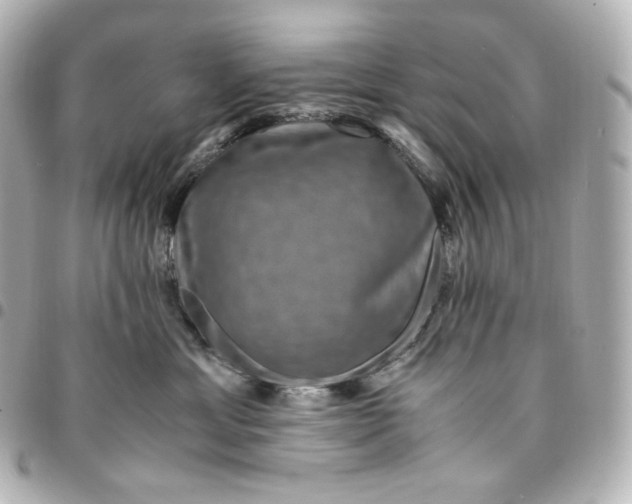 X0000095540429200712281548