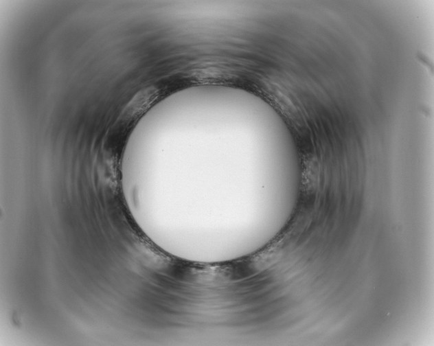 X0000095540430200712281548