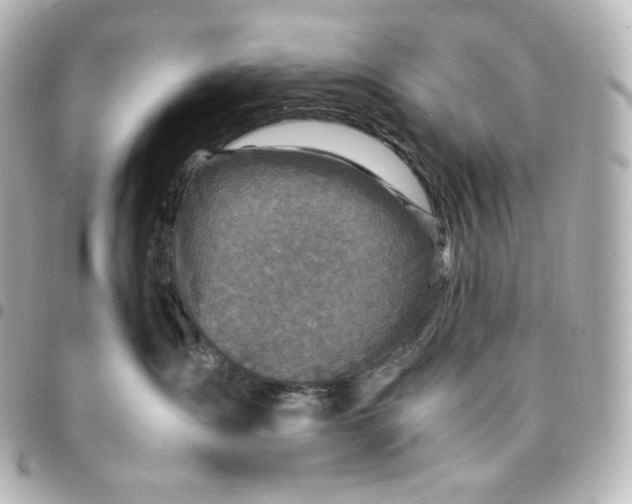 X0000095540431200712281548