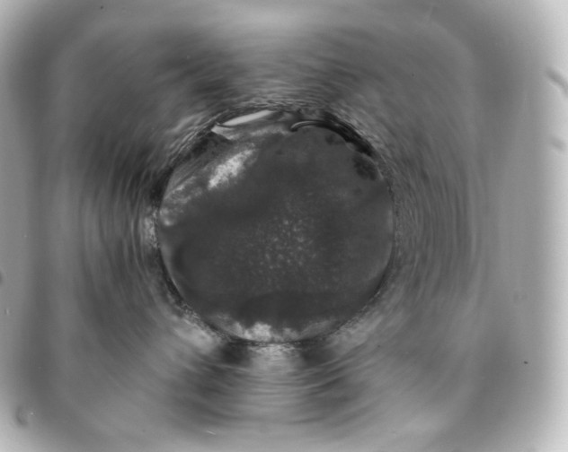 X0000095540432200712281548