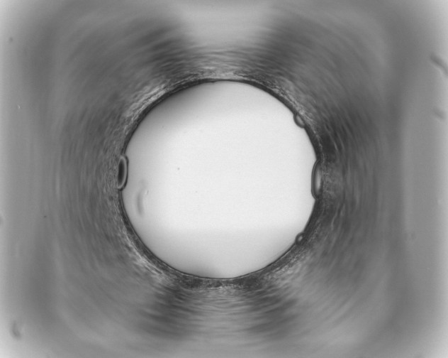 X0000095540433200712281547