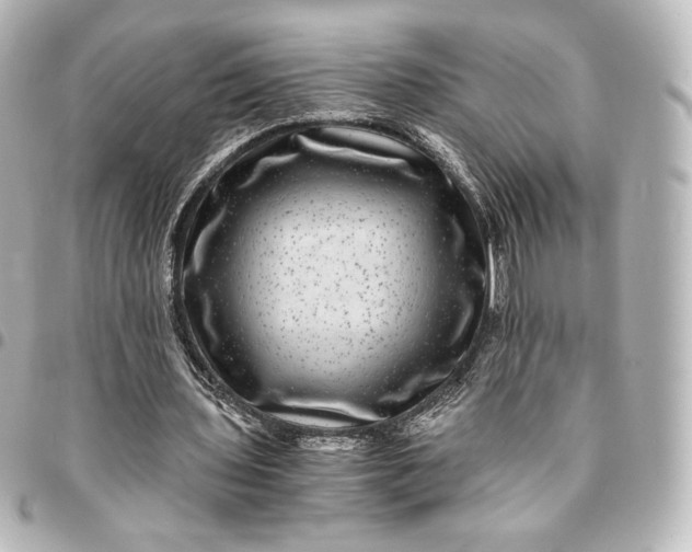 X0000095540435200712281547