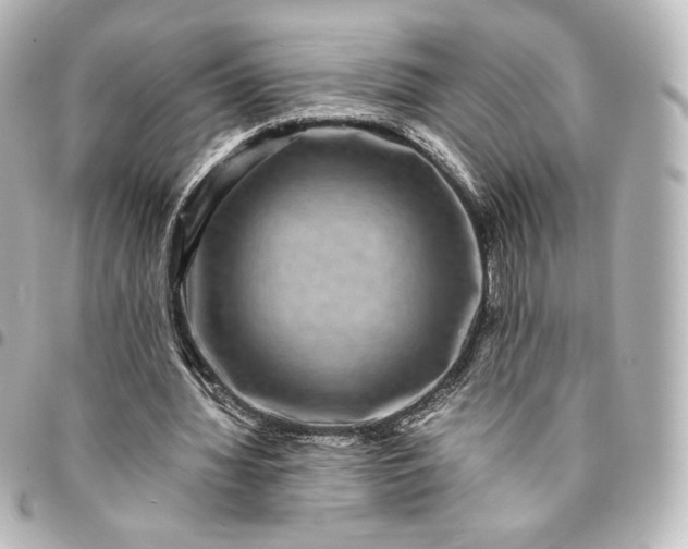 X0000095540436200712281547