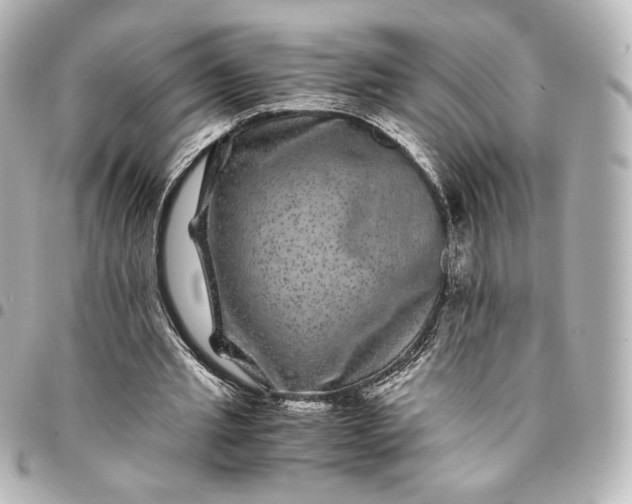 X0000095540437200712281548