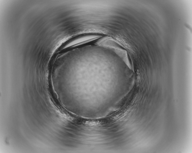 X0000095540440200712281548