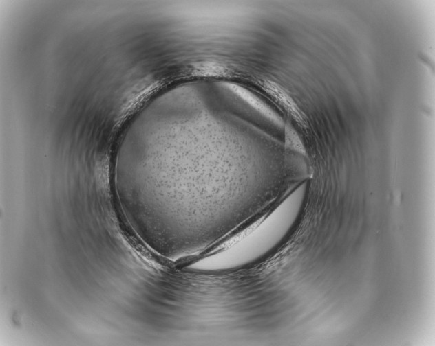 X0000095540442200712281548