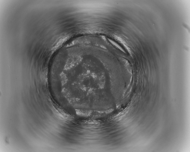 X0000095540443200712281548