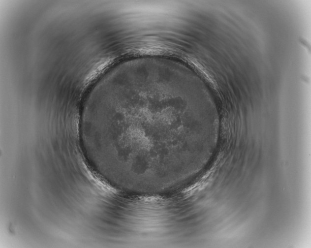 X0000095540446200712281548