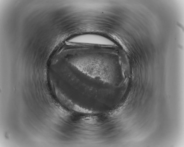 X0000095540447200712281548