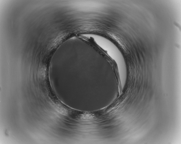 X0000095540451200712281548