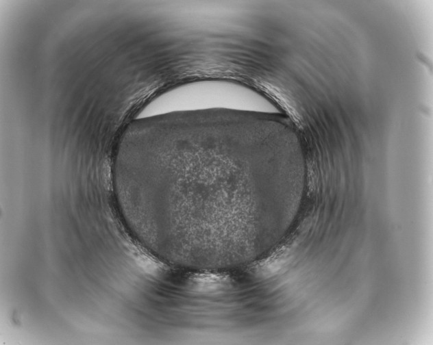 X0000095540453200712281548