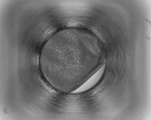 X0000095540454200712281548