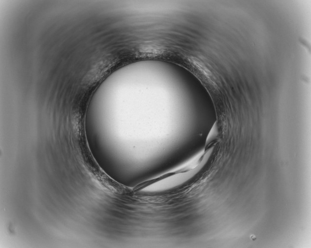 X0000095540455200712281548