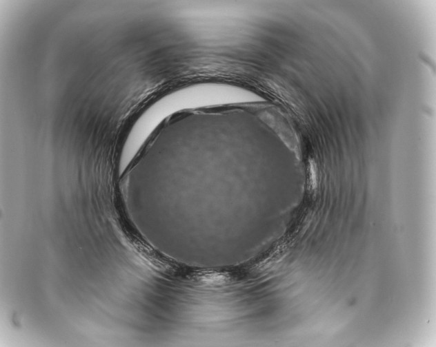 X0000095540456200712281548