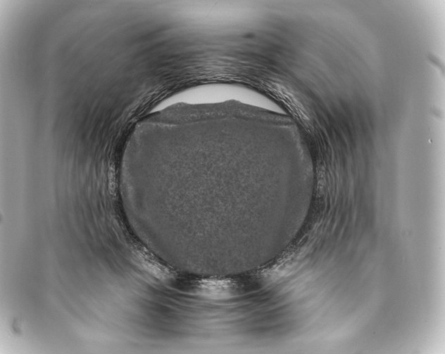 X0000095540457200712281548