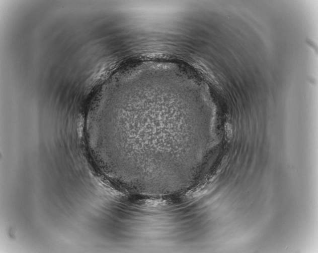 X0000095540458200712281548