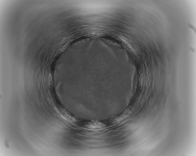 X0000095540459200712281548