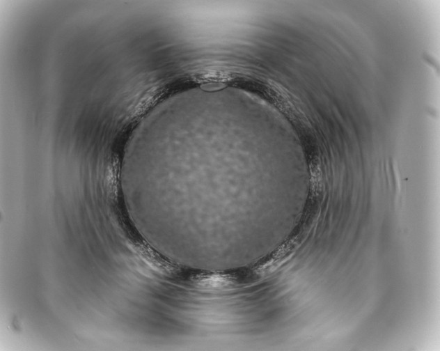 X0000095540460200712281548