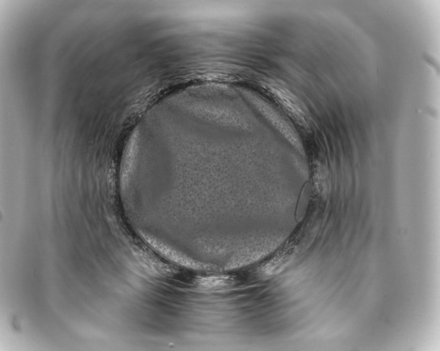 X0000095540461200712281548