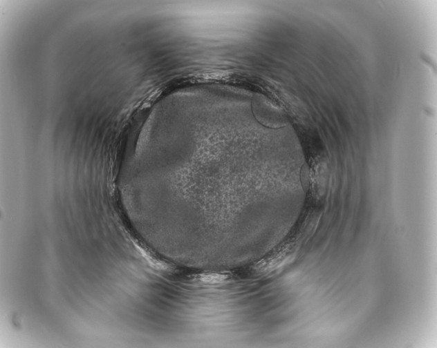 X0000095540462200712281548