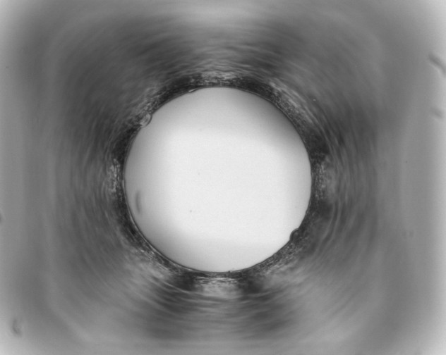 X0000095540463200712281548