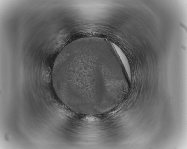 X0000095540464200712281548