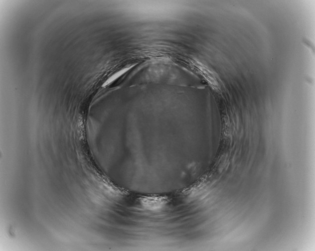 X0000095540465200712281548