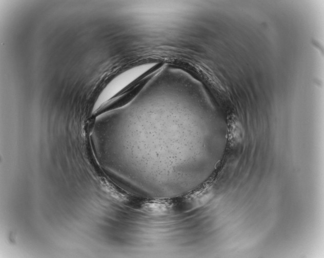 X0000095540466200712281548