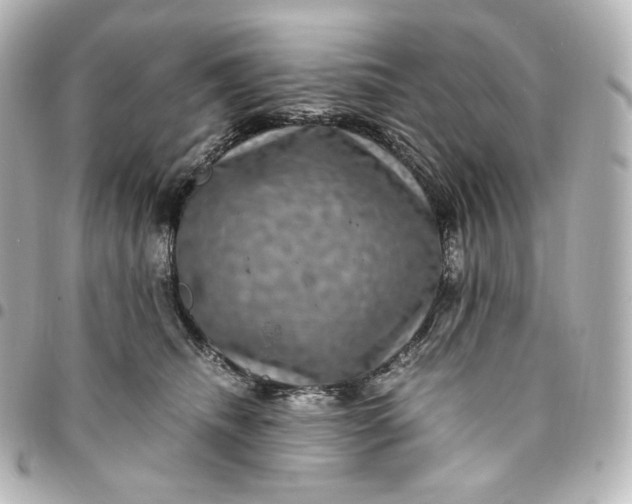 X0000095540468200712281548