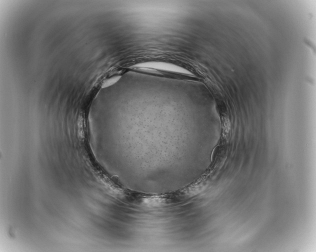 X0000095540470200712281548