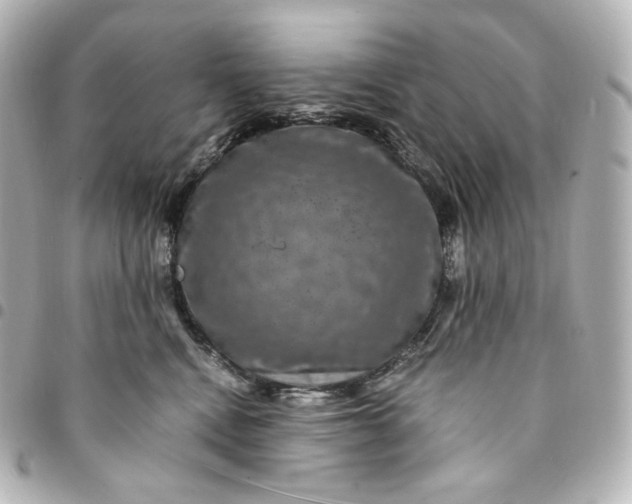 X0000095540472200712281548