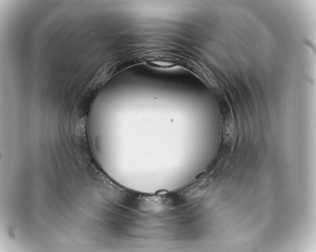 X0000095540473200712281548